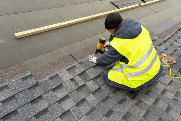 Best Gutter Installation and Roofing  in Larch Y, WA