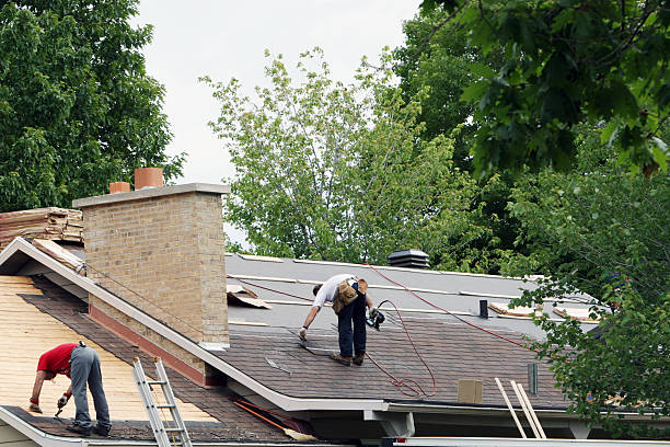 Best Metal Roofing Contractor  in Larch Y, WA