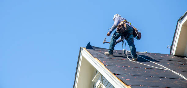 Roof Gutter Cleaning in Larch Way, WA